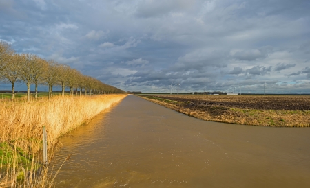 Sunlight and dark clouds over a canal in winterの写真素材