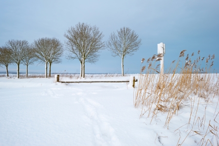 Snowy countryside in sunlightの写真素材