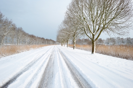 Snowy road through the countrysideの写真素材