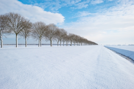 Field covered in snow in winterの写真素材