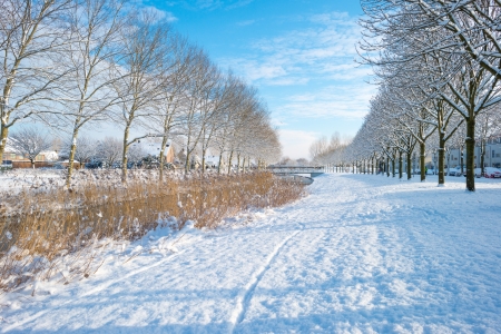 Snowy field along a canal and a streetの写真素材