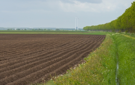 Row of trees along a plowed field in springの写真素材
