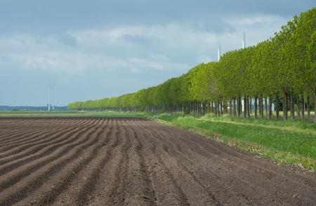 Windmills reaching into the clouds in springの写真素材
