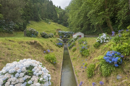 Small canal through a hilly forest