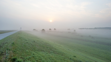 Shore of a foggy lake at dawn in summerの写真素材