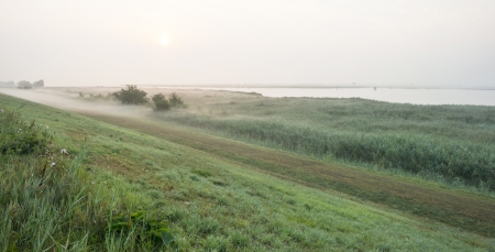 Shore of a foggy lake at dawn in summerの写真素材