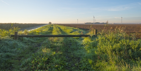Closed path through the countryside at dawnの写真素材
