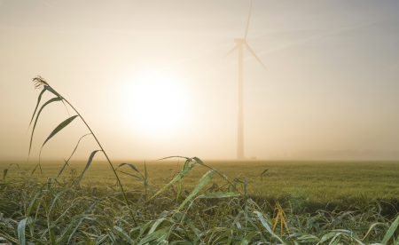 Wind turbine in a hazy sunlit field at fallの写真素材