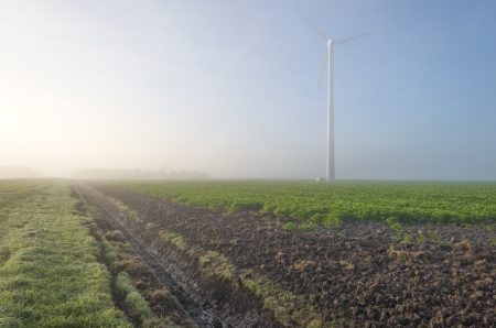 Wind turbine in a hazy sunlit field at fallの写真素材