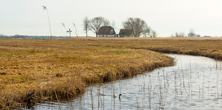 House along a river through wetland in winterのeditorial素材