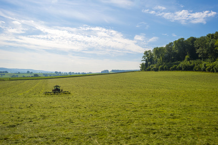 Tractor mowing in a meadow in summerの写真素材