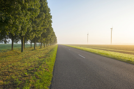 Trees along a road in autumn at sunriseの写真素材