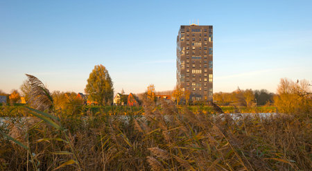 Highrise along a river at sunset in autumn