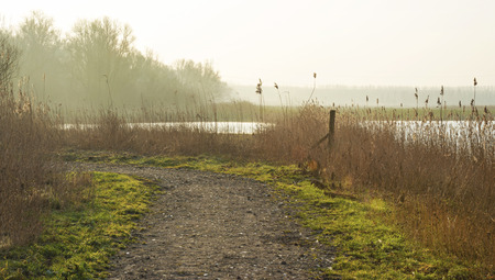 Footpath along the shore of a lake in winter