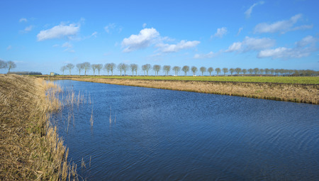 Trees along a canal under sunny sky in winter
