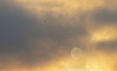 Sunrise behind clouds in winter