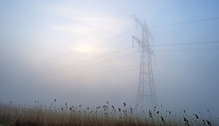 Power line in a foggy field at sunriseの写真素材