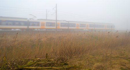 Train moving through a foggy countryside in winterのeditorial素材