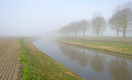 Trees along a foggy canal in springの写真素材