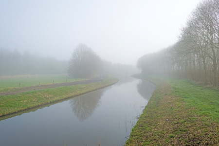 Trees along a foggy canal in springの写真素材