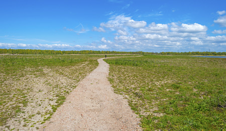Footpath through a sunny meadow in springの写真素材