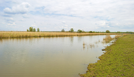 The shore of a river in springの写真素材