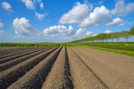 Canal along a plowed field with furrows in springの写真素材