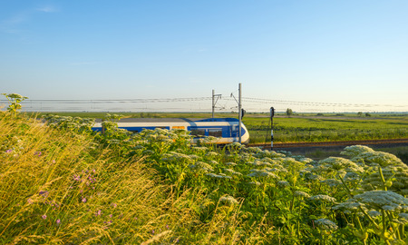Electric train driving through nature in summerの写真素材
