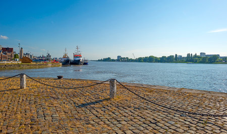 Port of Antwerp in sunlight in summerのeditorial素材