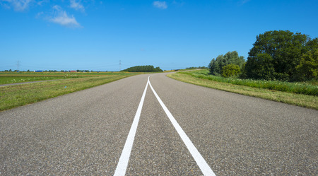 Country road through a rural landscape in springの写真素材