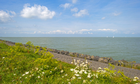 Dike along the shore of a lake in summer