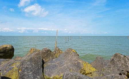 Dike along the shore of a lake in summer