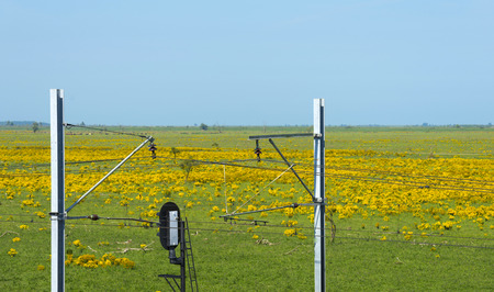 Railway through a colorful landscape in summer