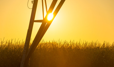 Tower of a power line in a yellow sky at sunriseの写真素材