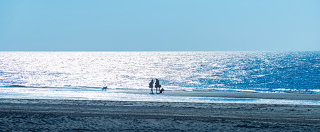 People strolling on a beach on moonlightの写真素材