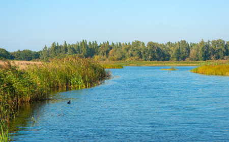 Sunny shore of a lake in autumnの写真素材