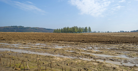 Furrows in a sunny field in springの写真素材