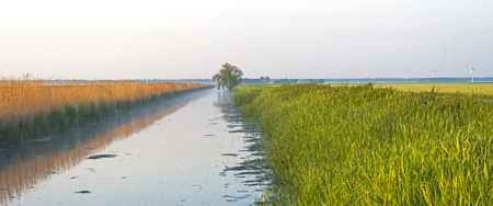 Canal through a rural landscape at dawnの写真素材
