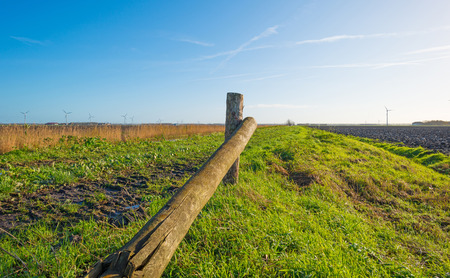 Path through a field in autumnの写真素材