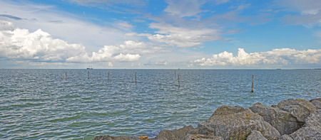 Dike along a lake in summerの写真素材