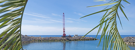 Work in progress in a harbor in summerの写真素材