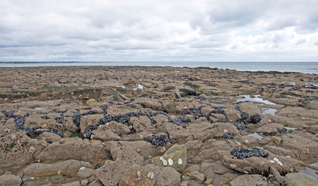 Rocks on a beach along a sea in summerの写真素材