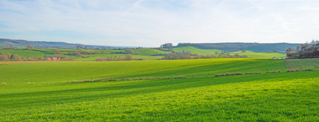 Sunny meadow on a hill in winter