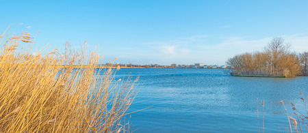 Shore of a lake below a blue cloudy sky in winterの写真素材