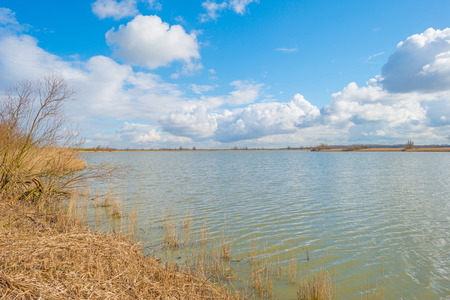 Shore of a lake in sunlight in winterの写真素材