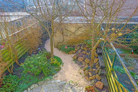 Rockery garden in sunlight in winterの写真素材
