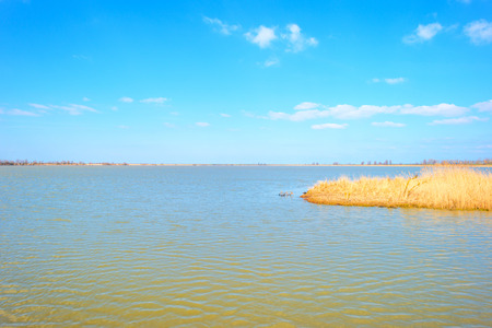 Shore of a lake in winterの写真素材