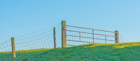 Fence on a dike in sunlit springの写真素材