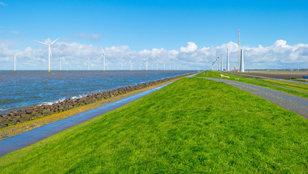 Dike along a lake in spring