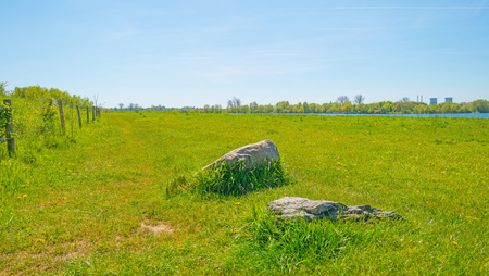 Shore of a lake below a blue sky in springの写真素材